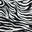 Zebra Print