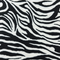 Zebra Print